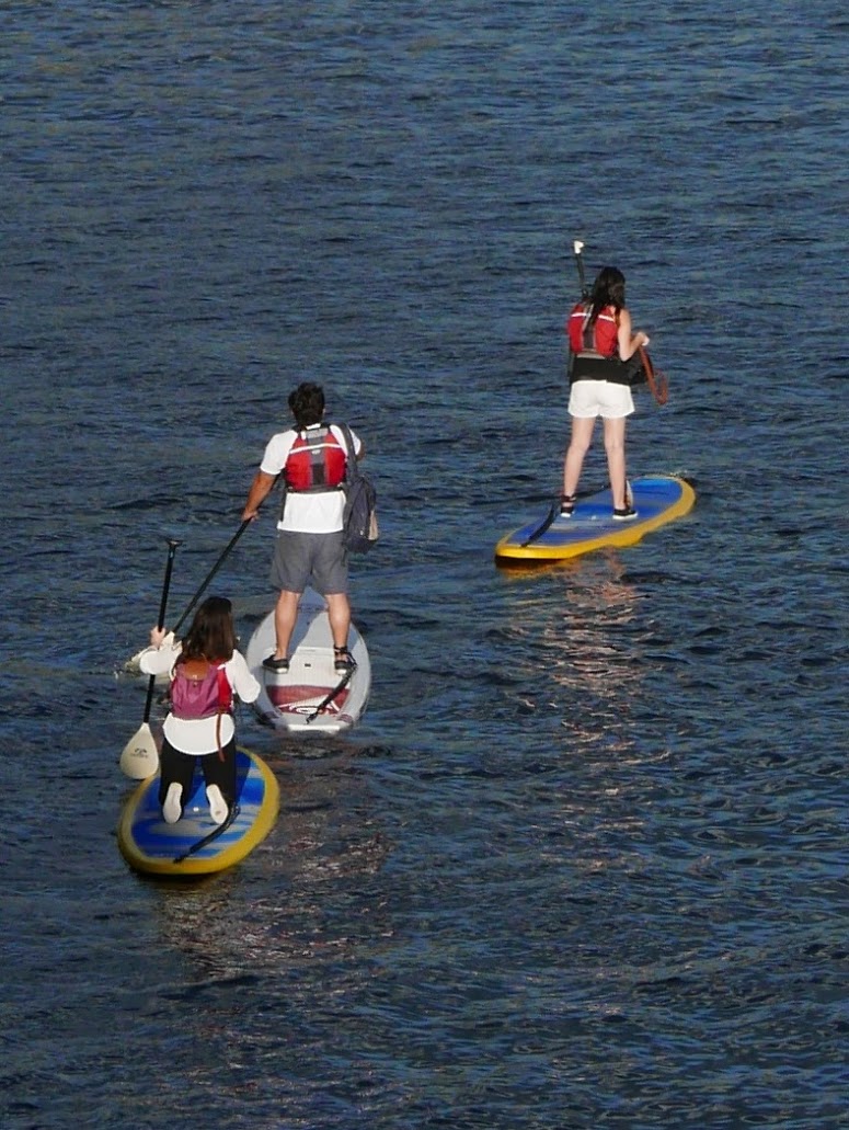 Charles River stand up paddleboards